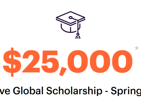 Apply now I Zolve Global Scholarship